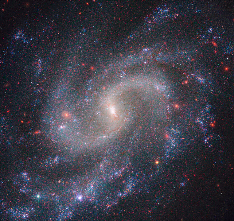 NGC_5584